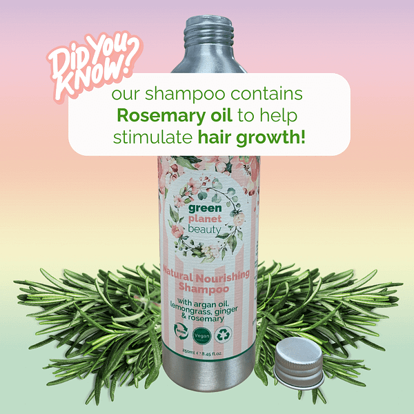 Natural Shampoo with Argan and Rosemary Oil | Plastic Free | Vegan - Image 2